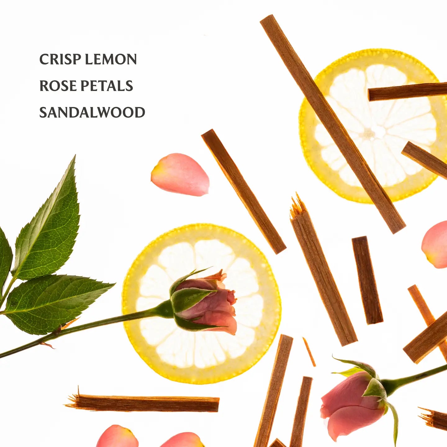 Touchland Hand Sanitizer - Obsession Boutique