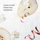 Touchland Hand Sanitizer - Obsession Boutique